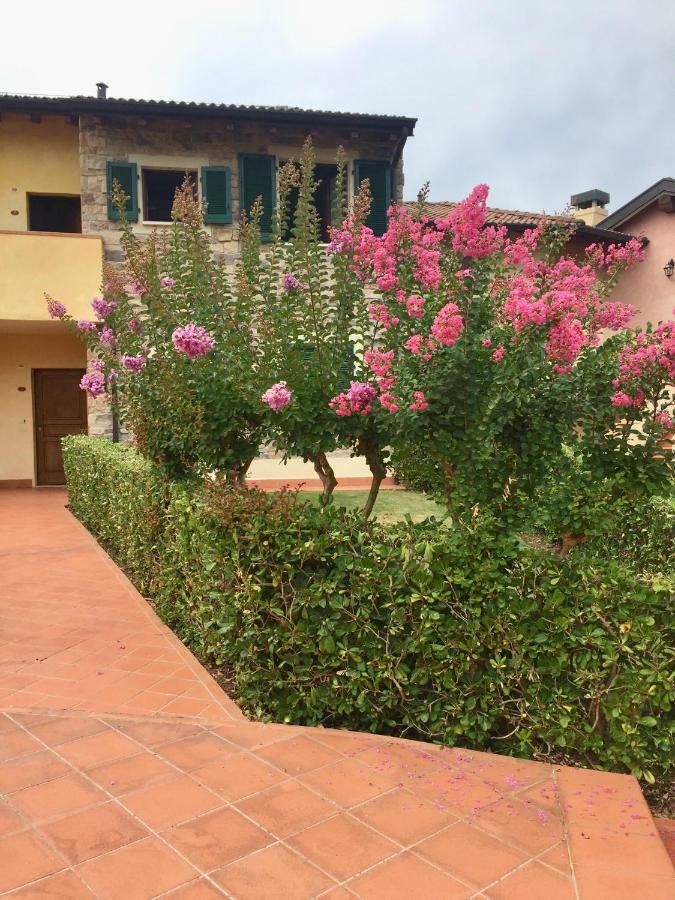 Апартаменти La Chicca Del Garda Песк'єра-дель-Гарда Екстер'єр фото
